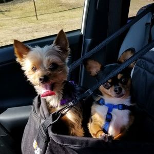 Meet your Posher, Courtney